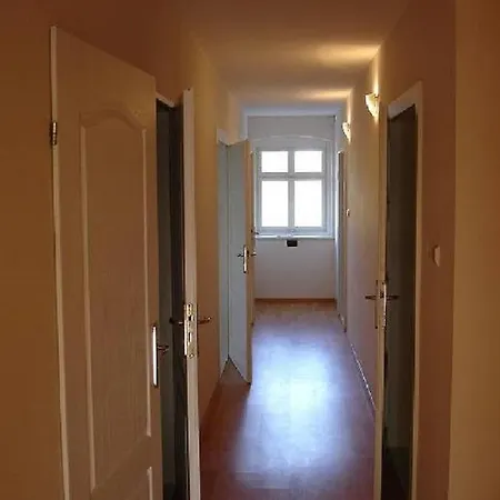 فيلة Panorama 3